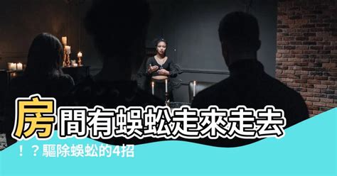 房間有蜈蚣怎麼辦|除蜈蚣 – 福爾摩斯病蟲害防治